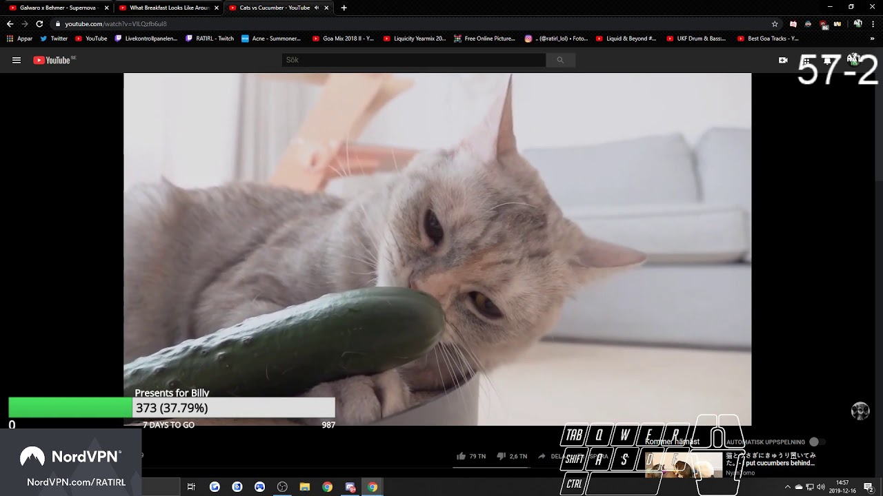 RATIRL | Cat reaction & making enemy RAGE QUIT