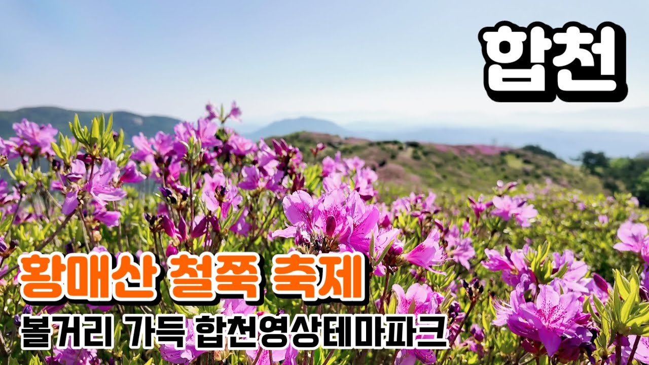 황매산 철쭉 축제 / 황매산 정상주차장 스텔스차박 / 볼거리 가득한 합천 영상테마파크 / 미디어아트 /합천 청와대 #차박 #camping #여행 #합천 #황매산 #철쭉 #인스타감성