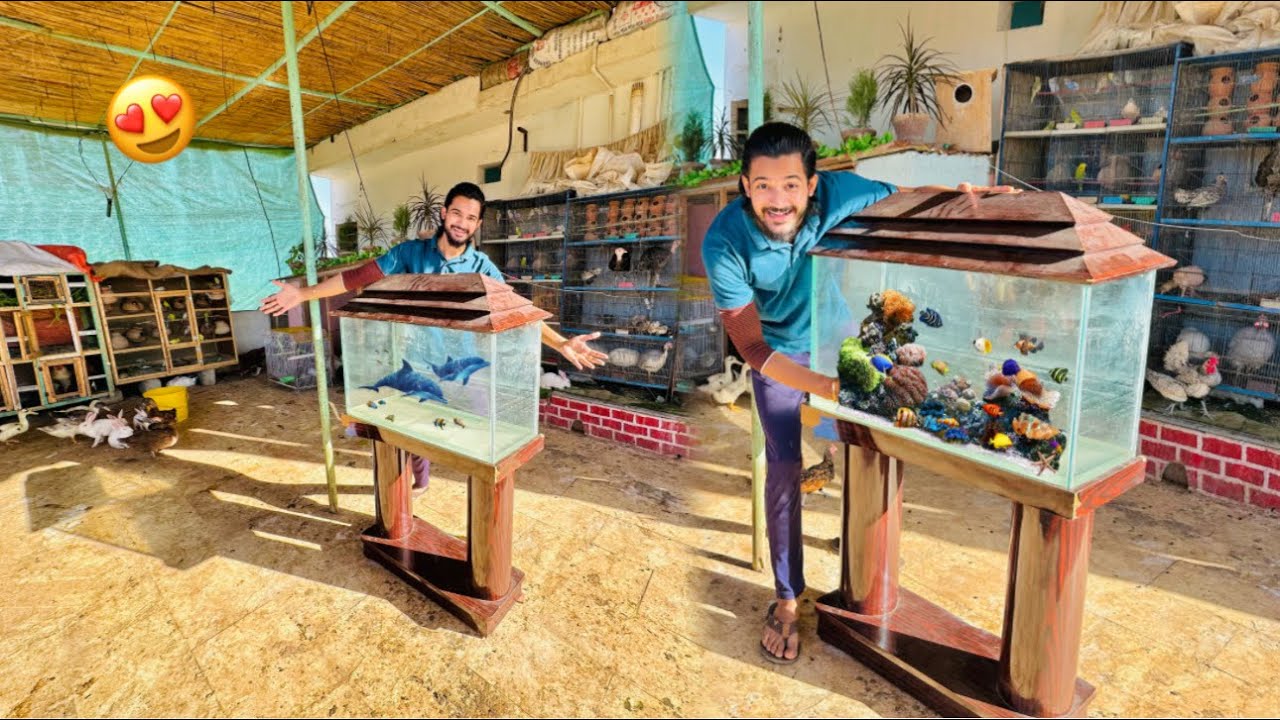 Finally Big Aquarium Le Lia😍 Bht Sari Fish Leni He Ab🐠
