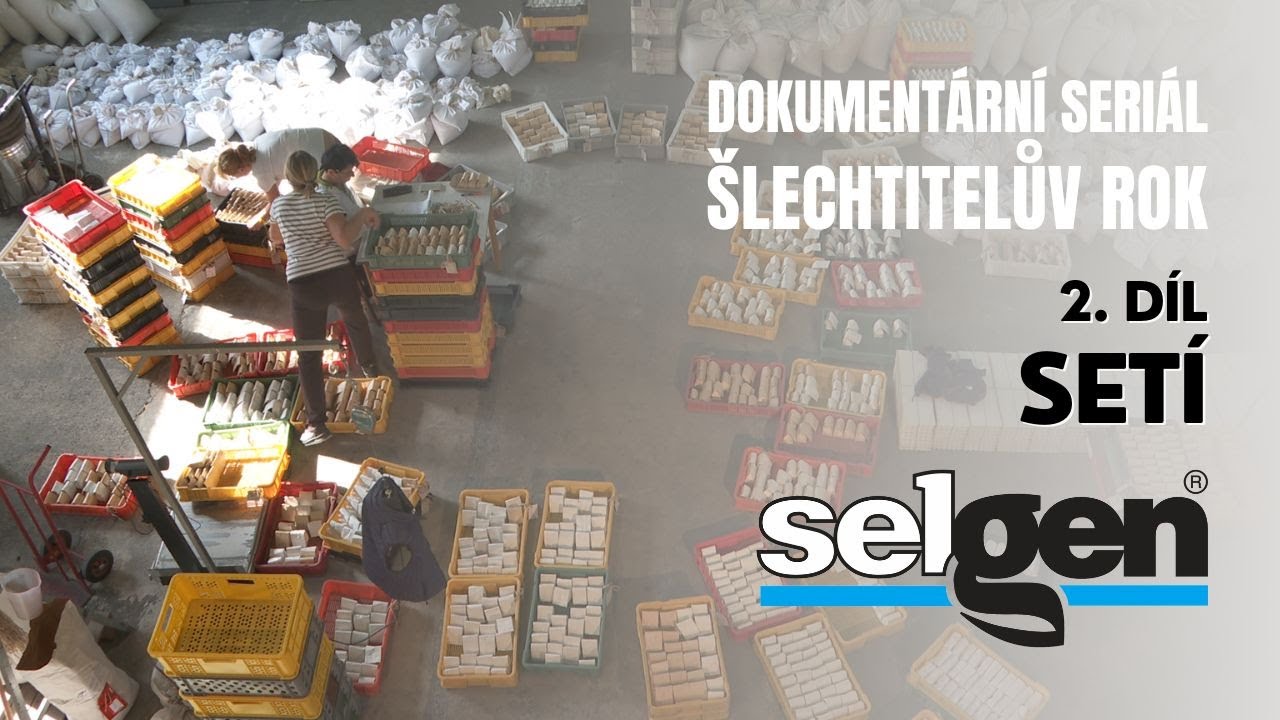 🌾 SELGEN 🌾ŠLECHTITELŮV ROK 🌾 2. díl - Setí 🌱