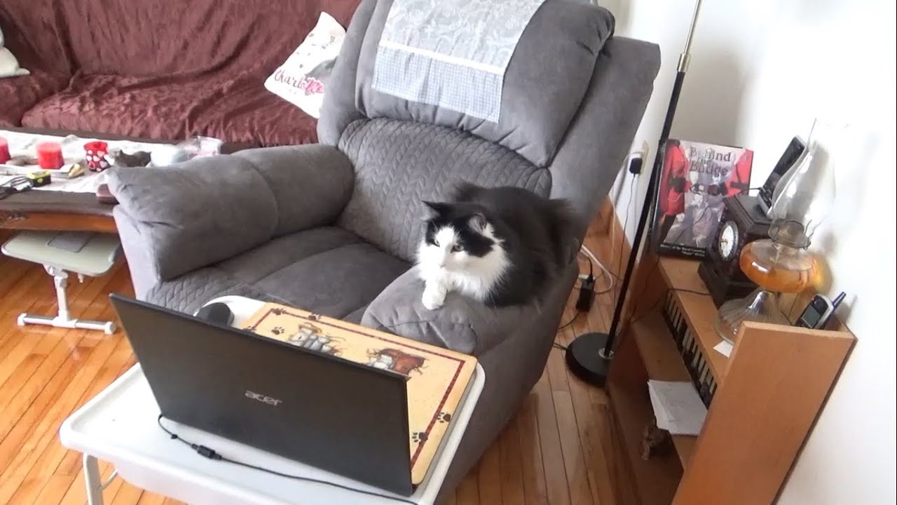Connor Enjoying a Squirrel Movie on Youtube