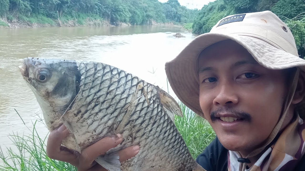 MANCING TAWES DI AWAL TAHUN 2024 PAKE UMPAN ANDALAN SLEBEW FISHING ‼️