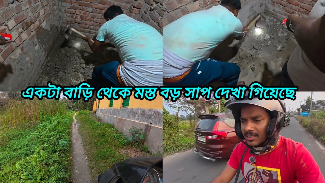 মস্ত বড় কেউটো সাপ বেরিয়েছে এক পরিবারে উদ্ধার করার কাজ চলছে চলুন দেখে আসি