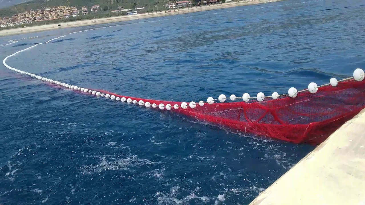 2018 - 2019  sezonun ilk palamut volisi HIDAYET REIS