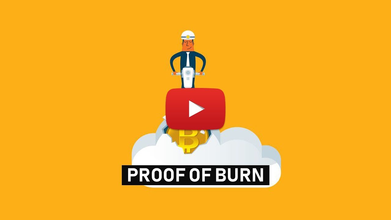 PROOF-OF-BURN CONSENSUS ALGORITHM