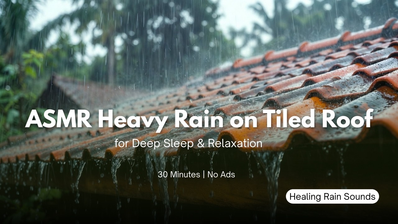 ASMR Heavy Rain on Tiled Roof for Deep Sleep & Relaxation (30 Minutes)