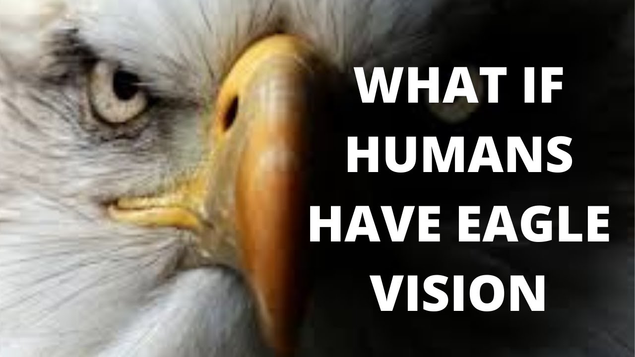 WHAT IF HUMANS HAVE EAGLE VISION????