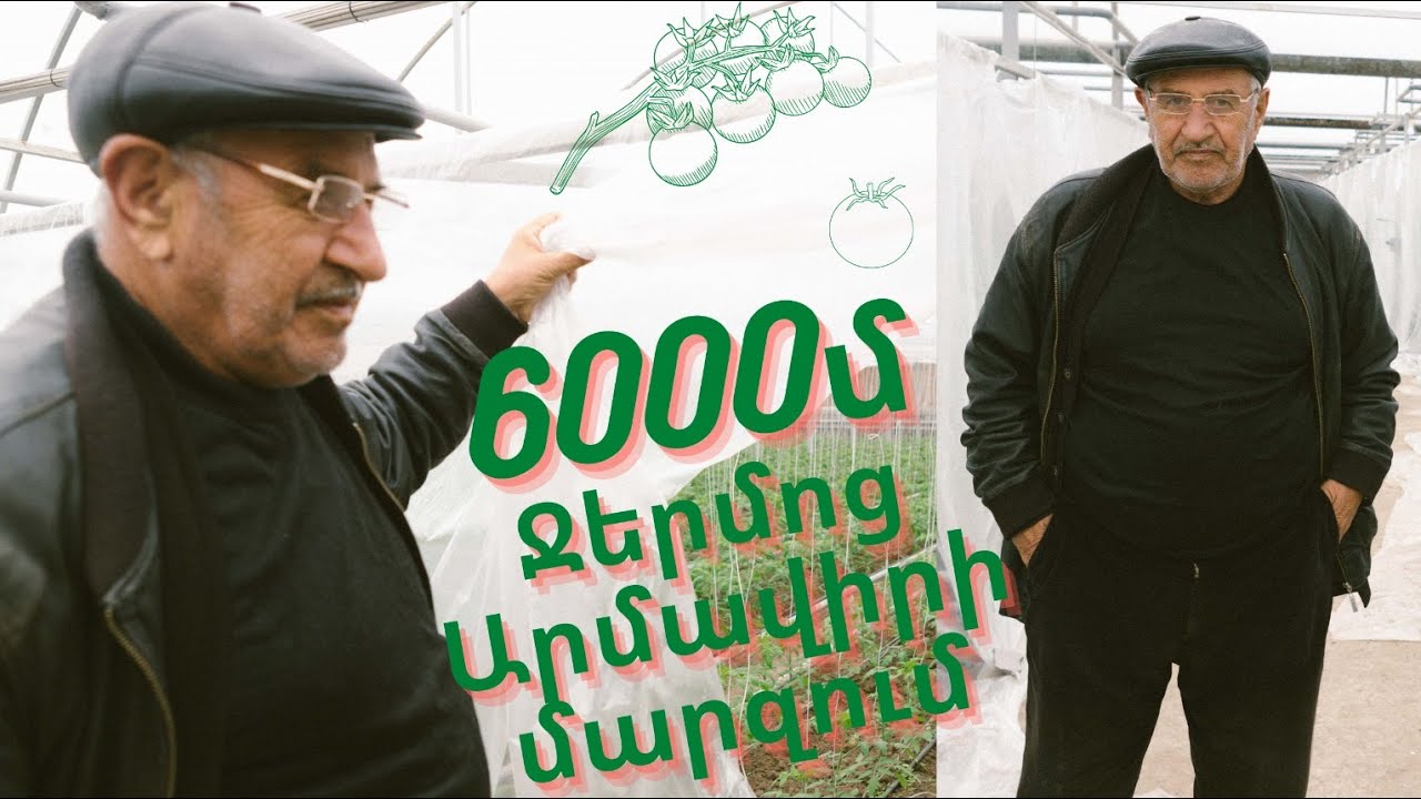 Agronomy - 6000մ լոլիկի ջերմոց Արմավիրի մարզի Ծիածան գյուղում