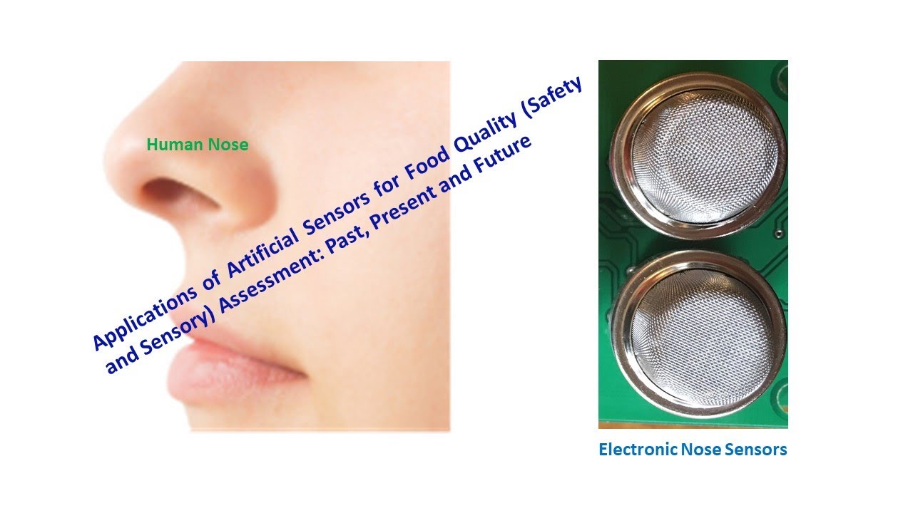 Electronic Nose in Food Quality and Safety