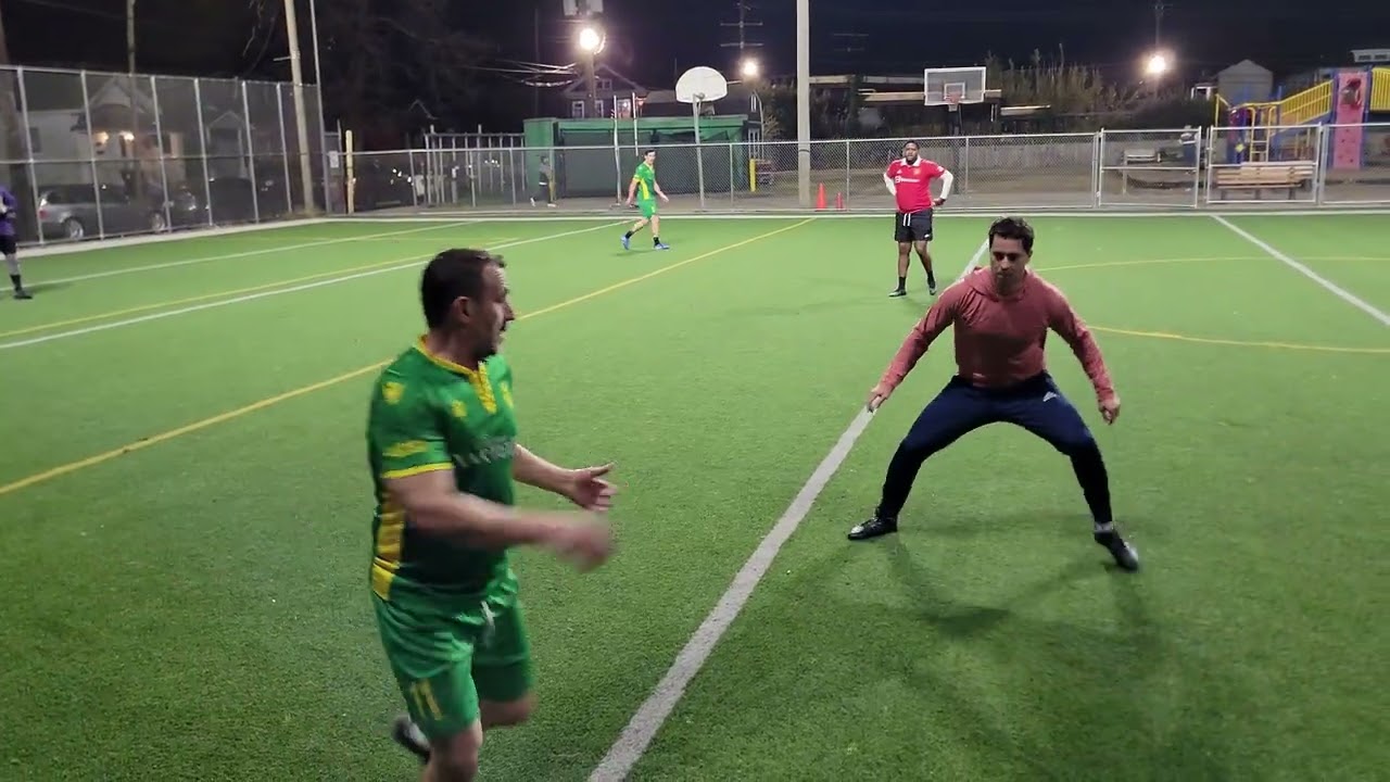 Zimbru Vs Hummingbirds 