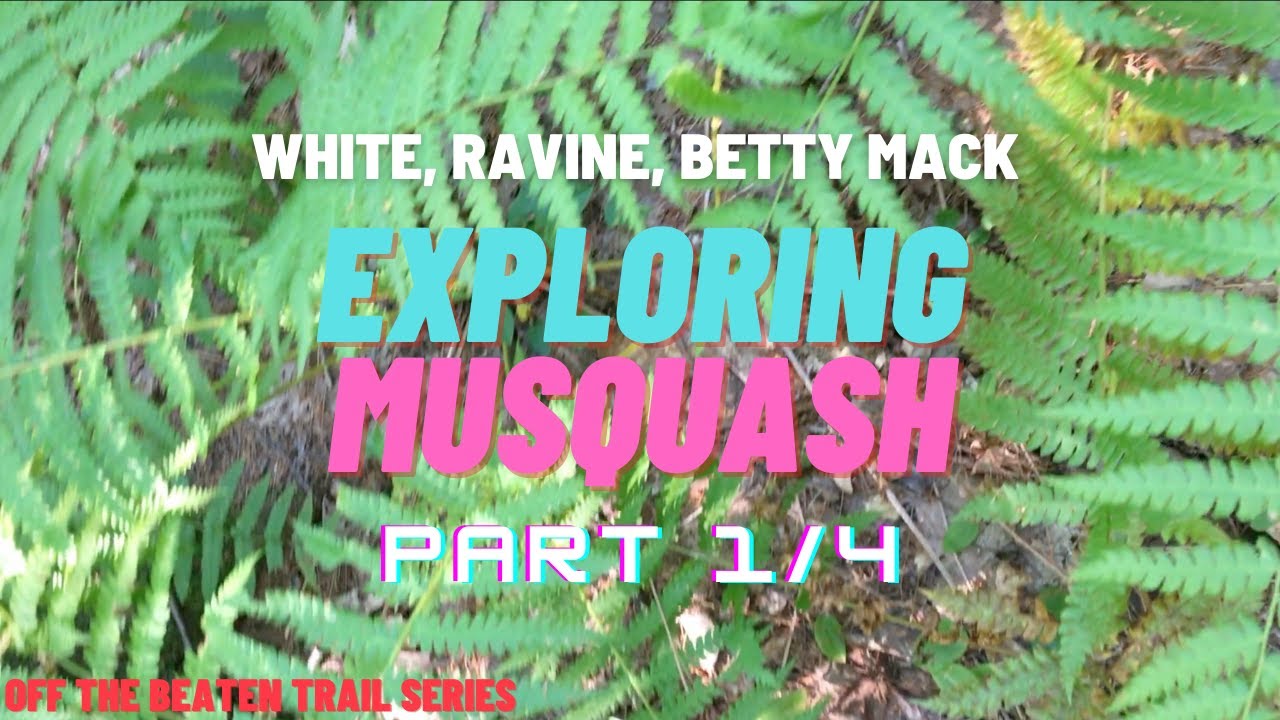 MTB Exploring Musquash Pt.1 Betty White