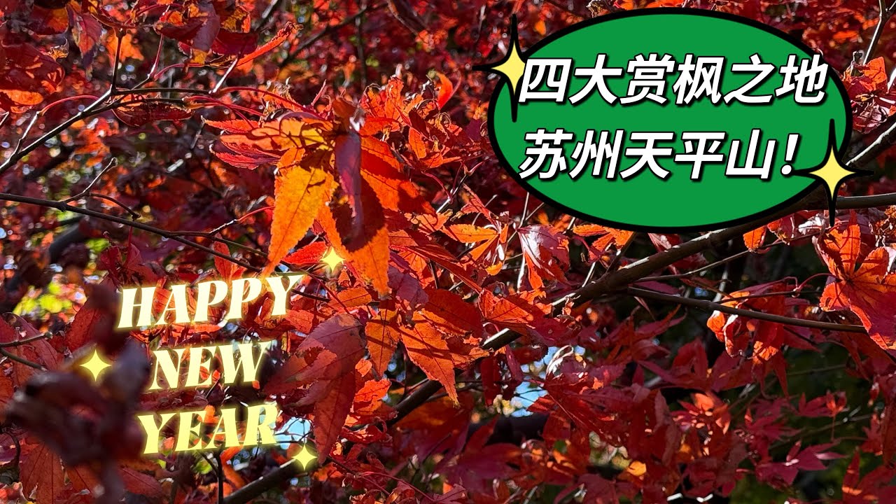 赏枫之地-苏州天平山！2024年最后一天分享美景给大家！2025年见！#枫叶 #苏州 #天平山 #2024 #2025 #风景 #view