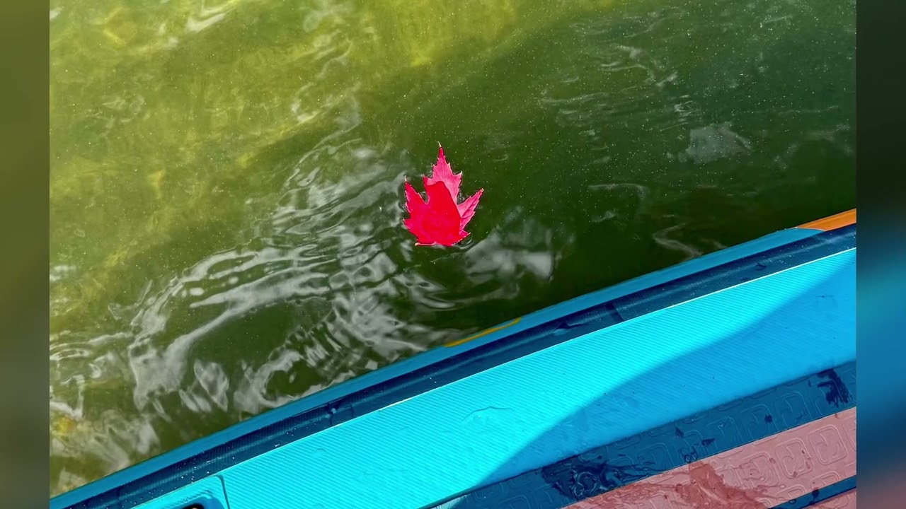 October 5th Fall Paddle 