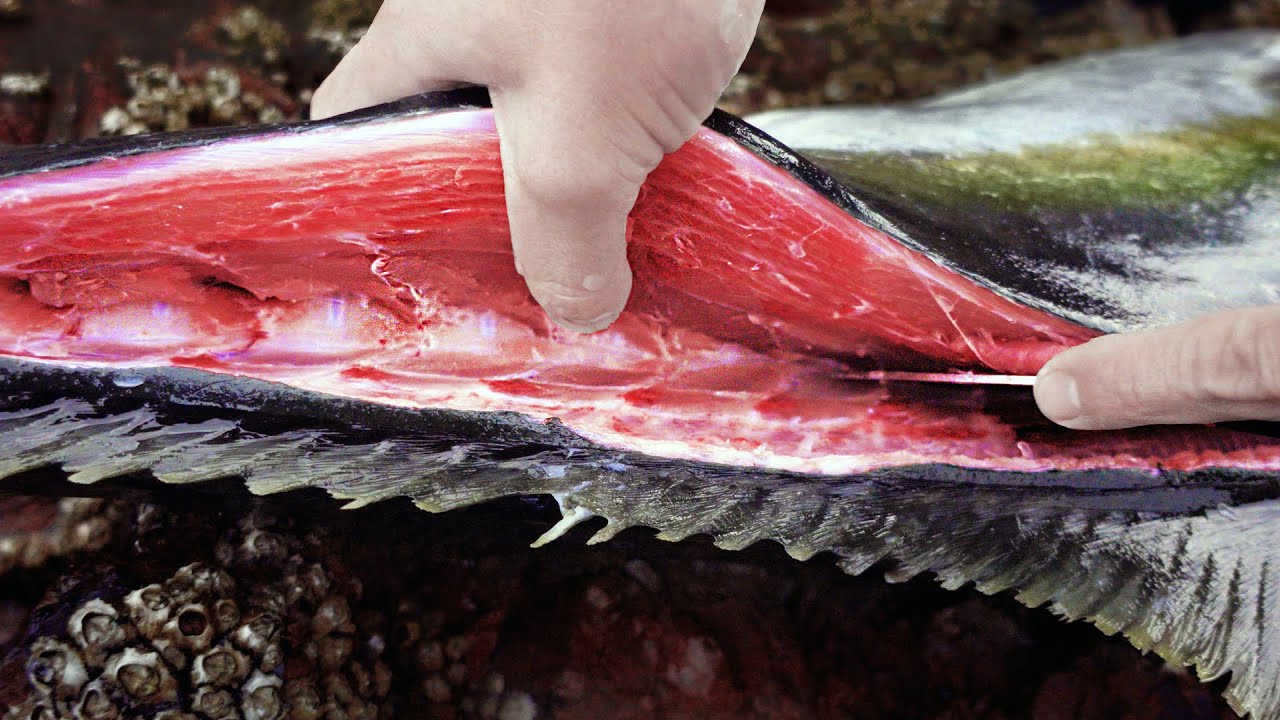 Fresh Yellowtail Kingfish Sashimi