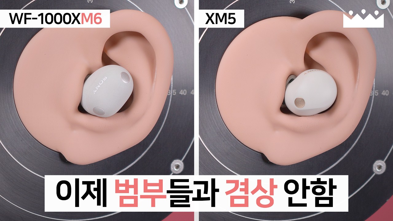 【EN SUB】 Sony WF-1000XM6 vs XM5 Measurement Review