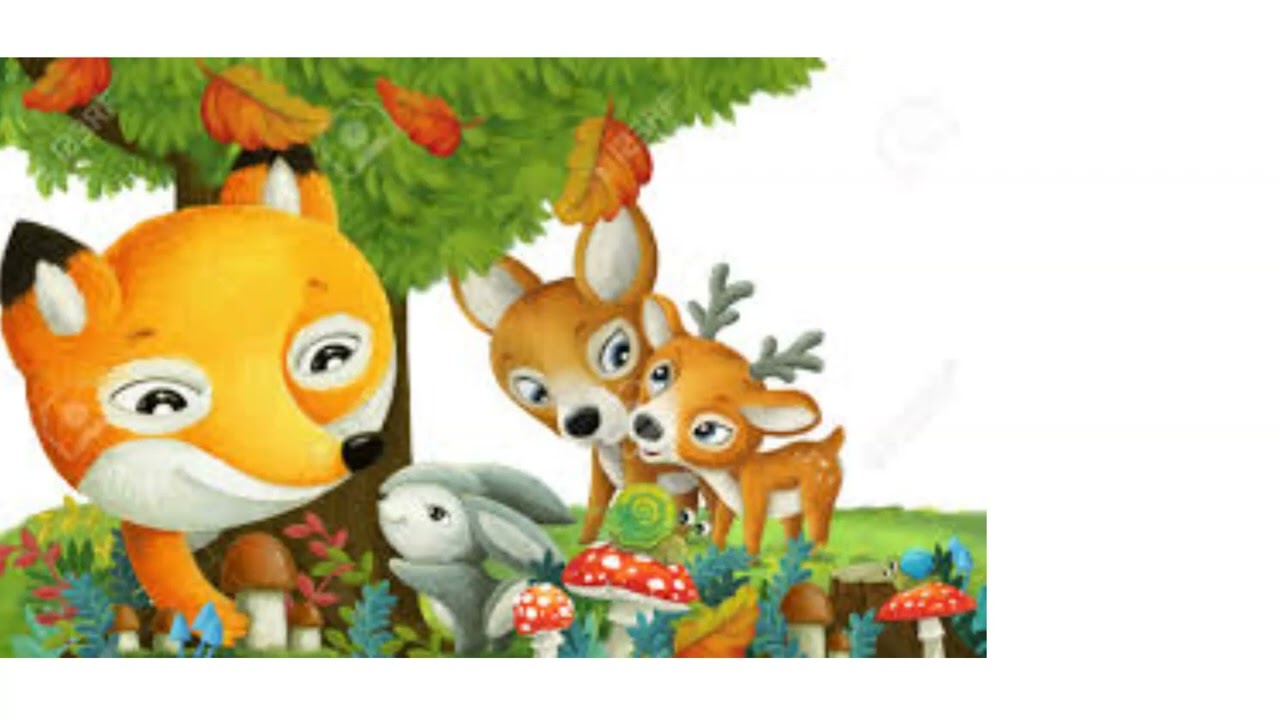Forest animal friendship