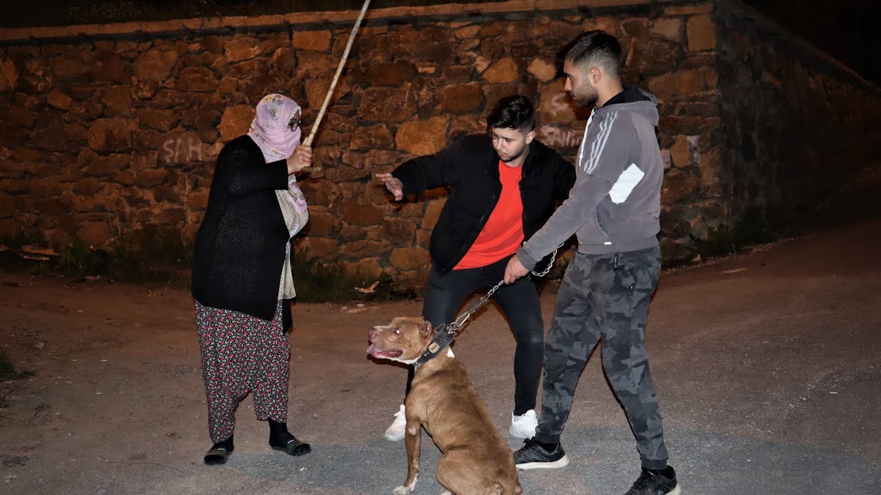 FATMA TEYZEYE PİTBULLU KIŞKIRTMA! (KALP KRİZİ GE&Ccedil;İRİYORDU)