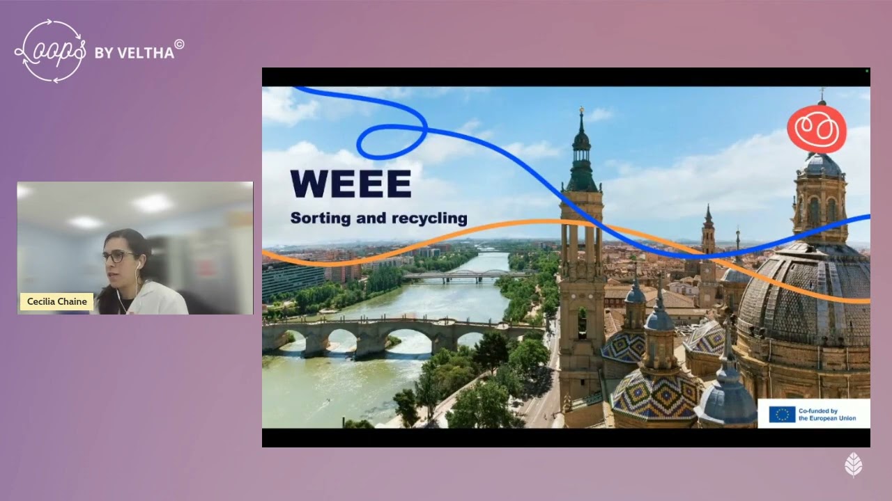 LOOPS | Advanced Sorting as a Key Enabler for Circular WEEE Value Chains