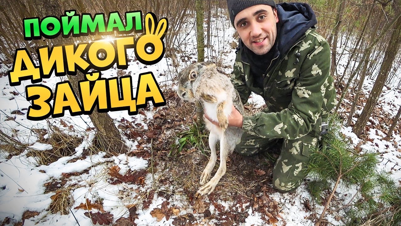 Жизнь в лесу! [2-Часть] Поймал дикого зайца! Заяц тушеный с овощами  в казане.