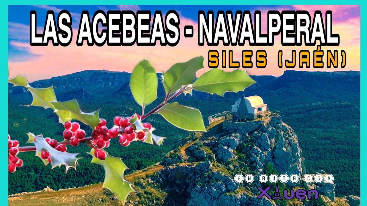 RUTA: LAS ACEBEAS // CIMA NAVALPERAL (1.640 METROS)