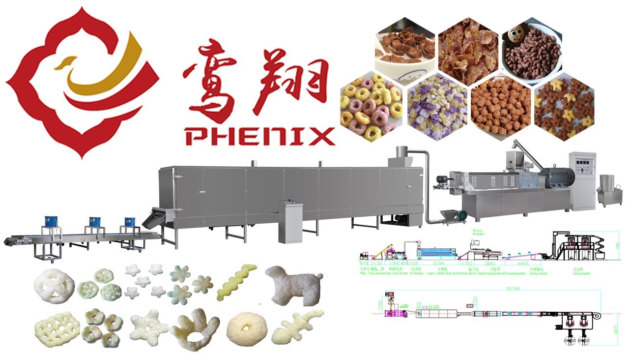 Snacks Food Processing Line | Jinan Phenix Machinery ®