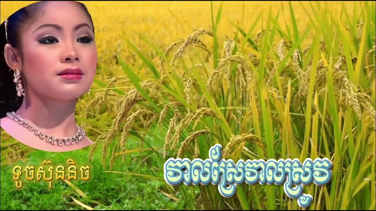 “វាលស្រែវាលស្រូវ” ច្រៀងដោយកញ្ញា #ទូចស៊ុននិច #វាលស្រែវាលស្រូវ  សំនៀដេីម លោកស្រី#ហុឹមសុីវន