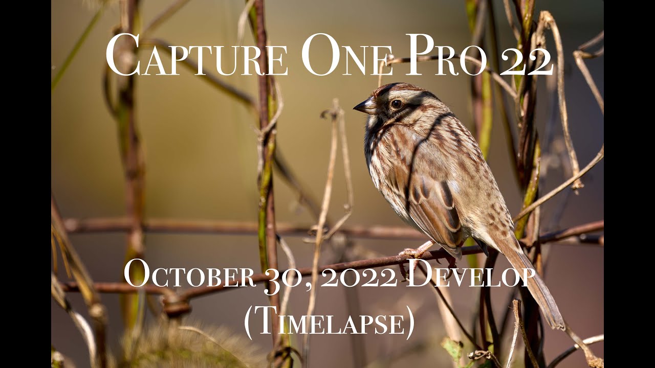 Capture One Pro 22 Timelapse, October 30, 2022 Edition.
