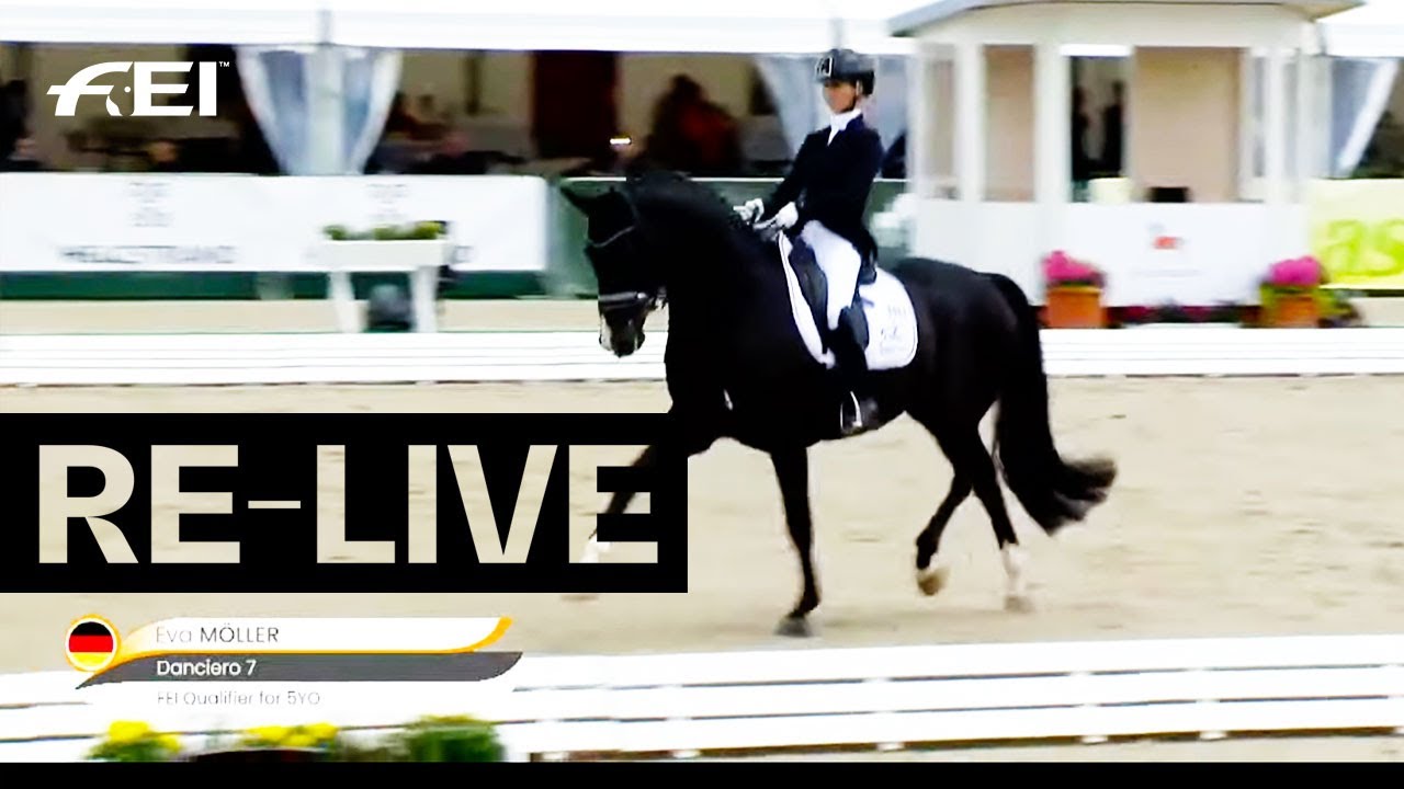 RE-LIVE|Qualifier 5 y/o | FEI WBFSH Dressage World Breeding Champs. for Young Horses 2021 | Verden🇩🇪