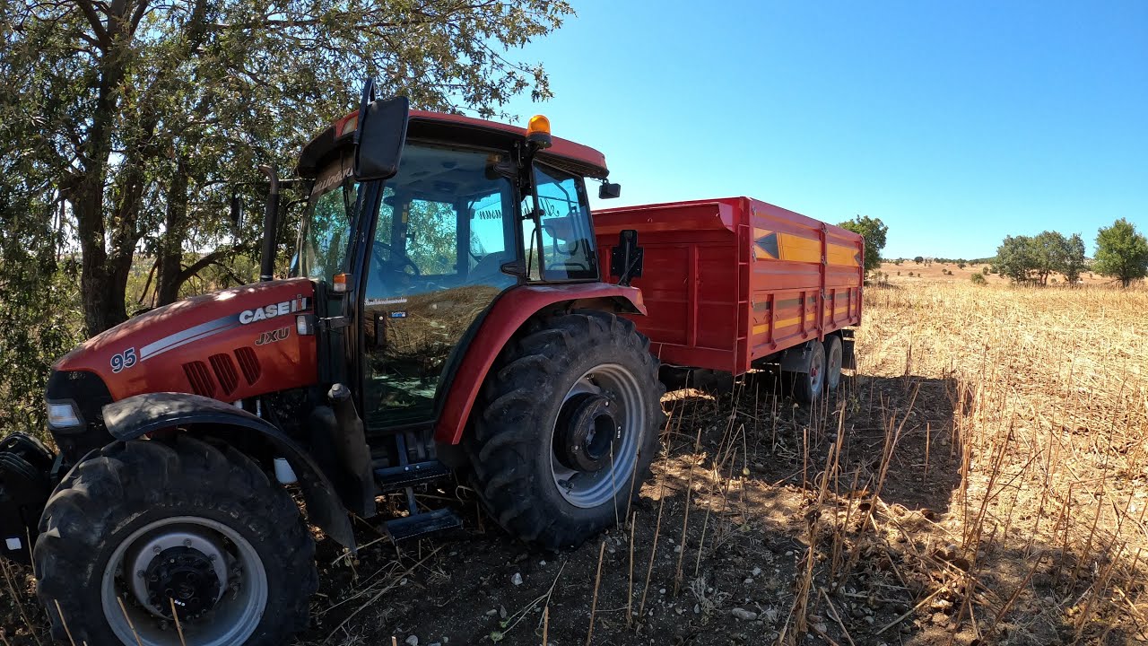 DEKARA 200 KG İLE AYÇİÇEĞİ HASADI YAPIYORUZ #syngenta