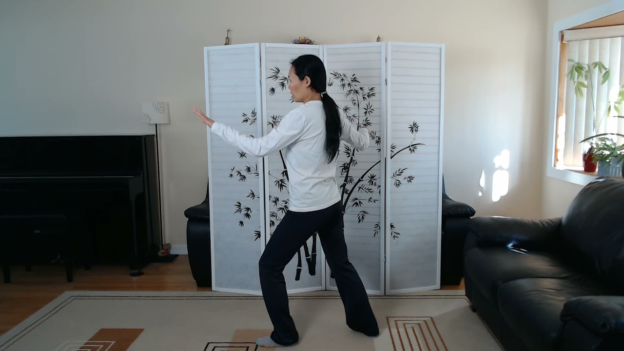 Tai Chi Yang Style 37 Form, Movements 1-12 Back View