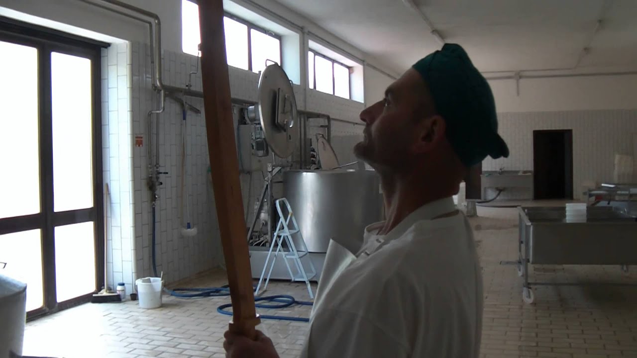 Formaggi del Pollino: l'azienda TOSA