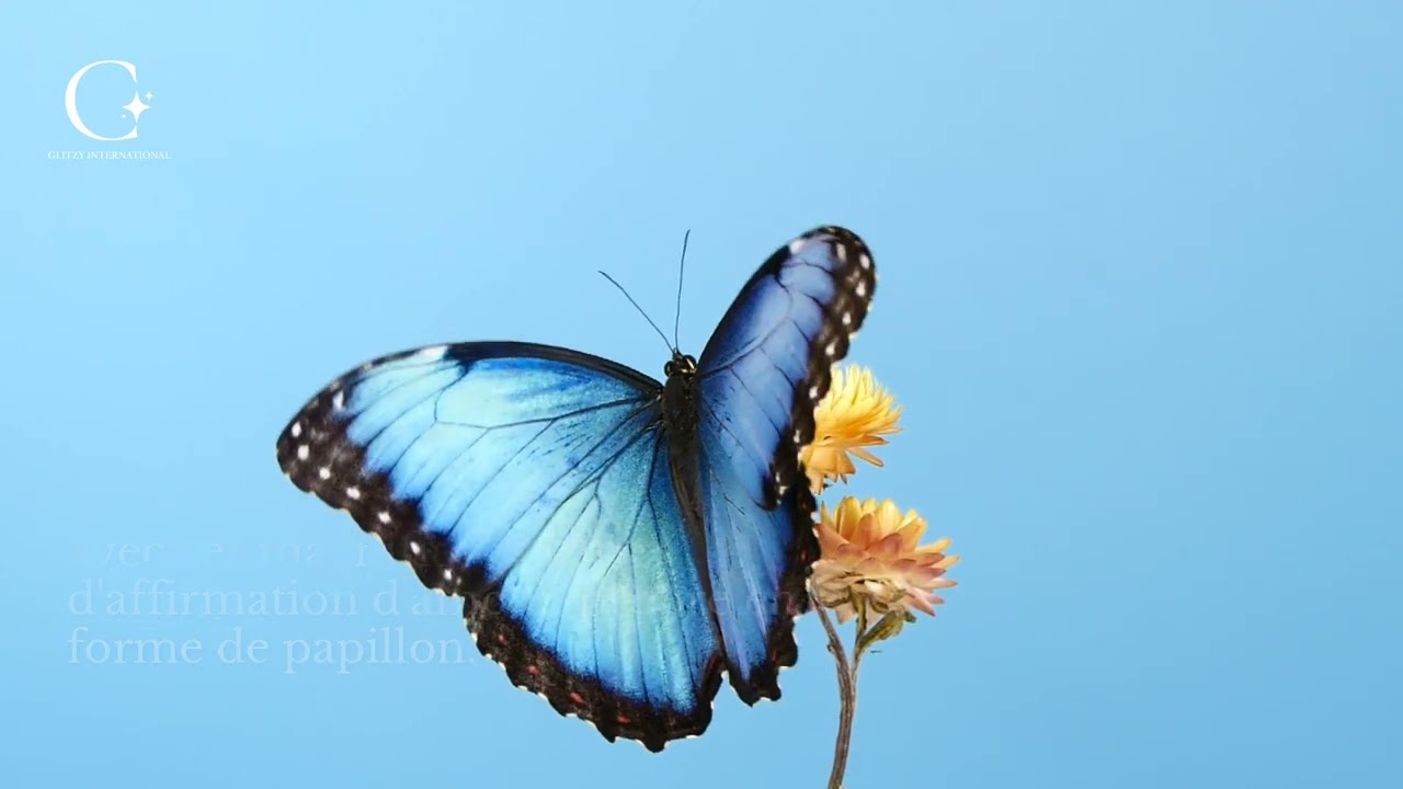 Cartes d'Affirmations d'Amour-Propre #AimeToi #AmourPropre #Papillon #NouvelleVid&eacute;o #Shorts #YouTube