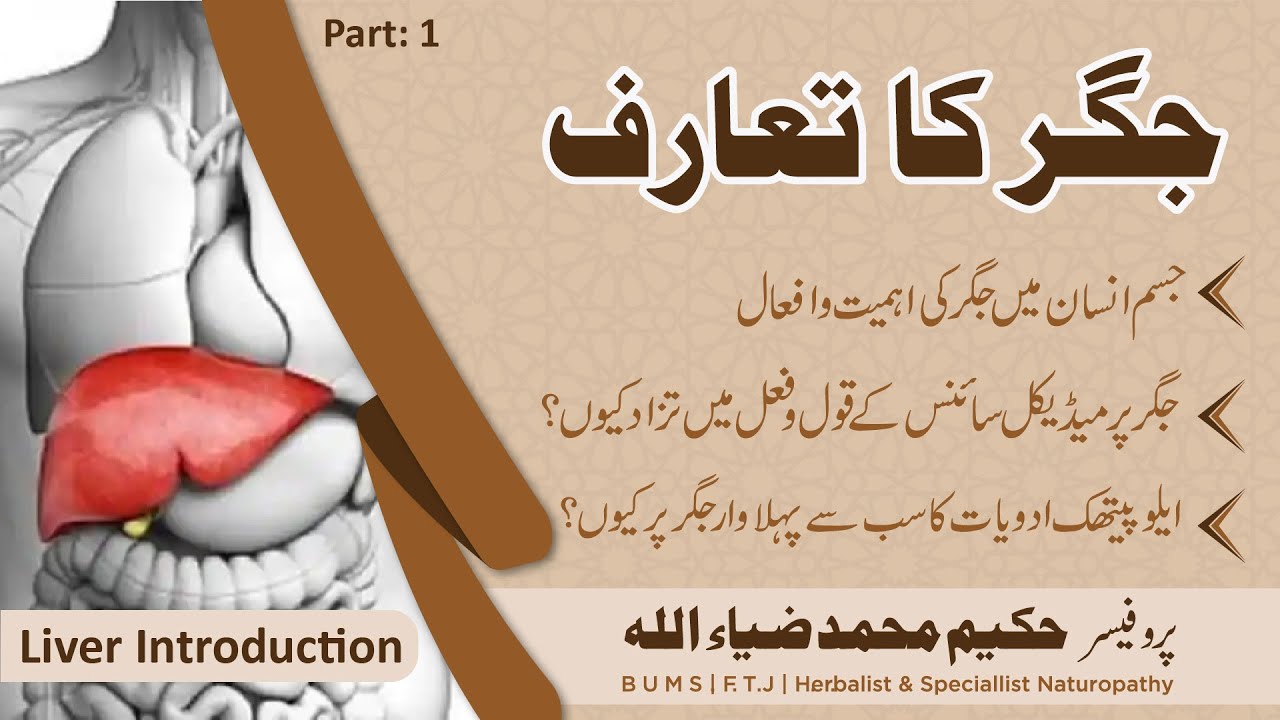 Jigar ka taruf or Afal - Introduction of Liver - Part 1 - IBN-E-TABEEB ® - IBNE00118