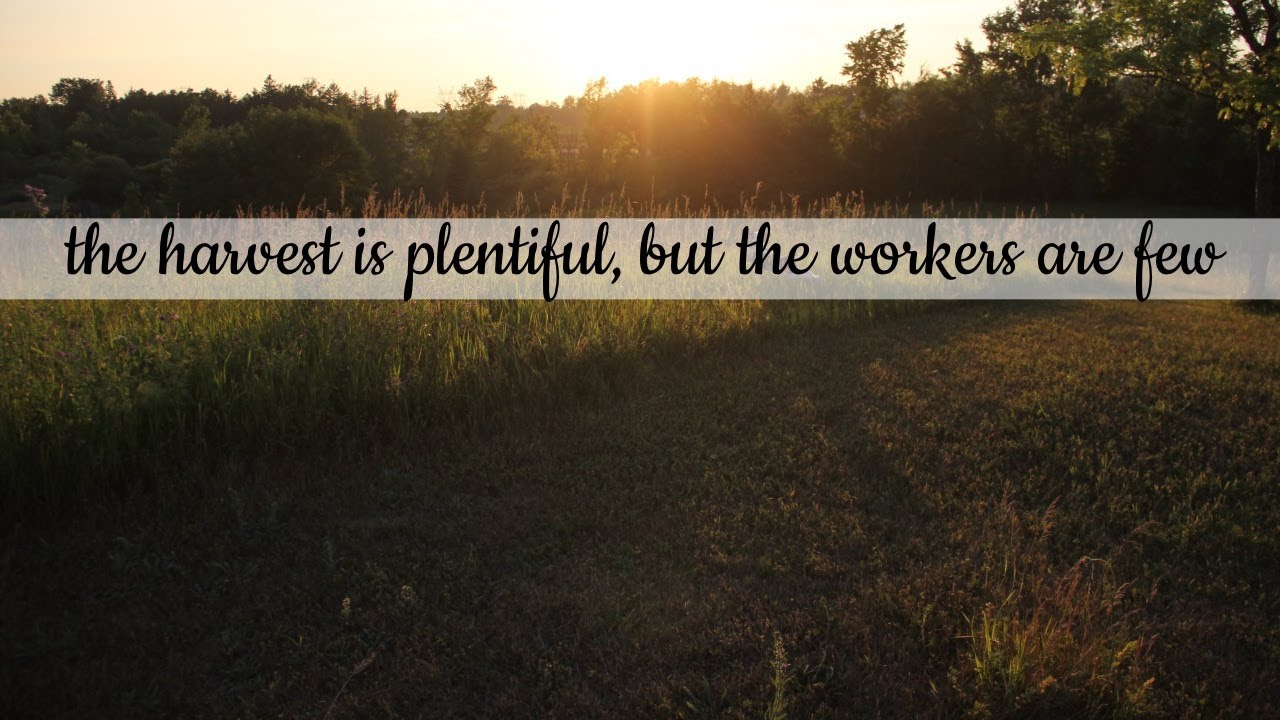 the harvest is plentiful, but the workers are few (my take on Matthew 9:37)