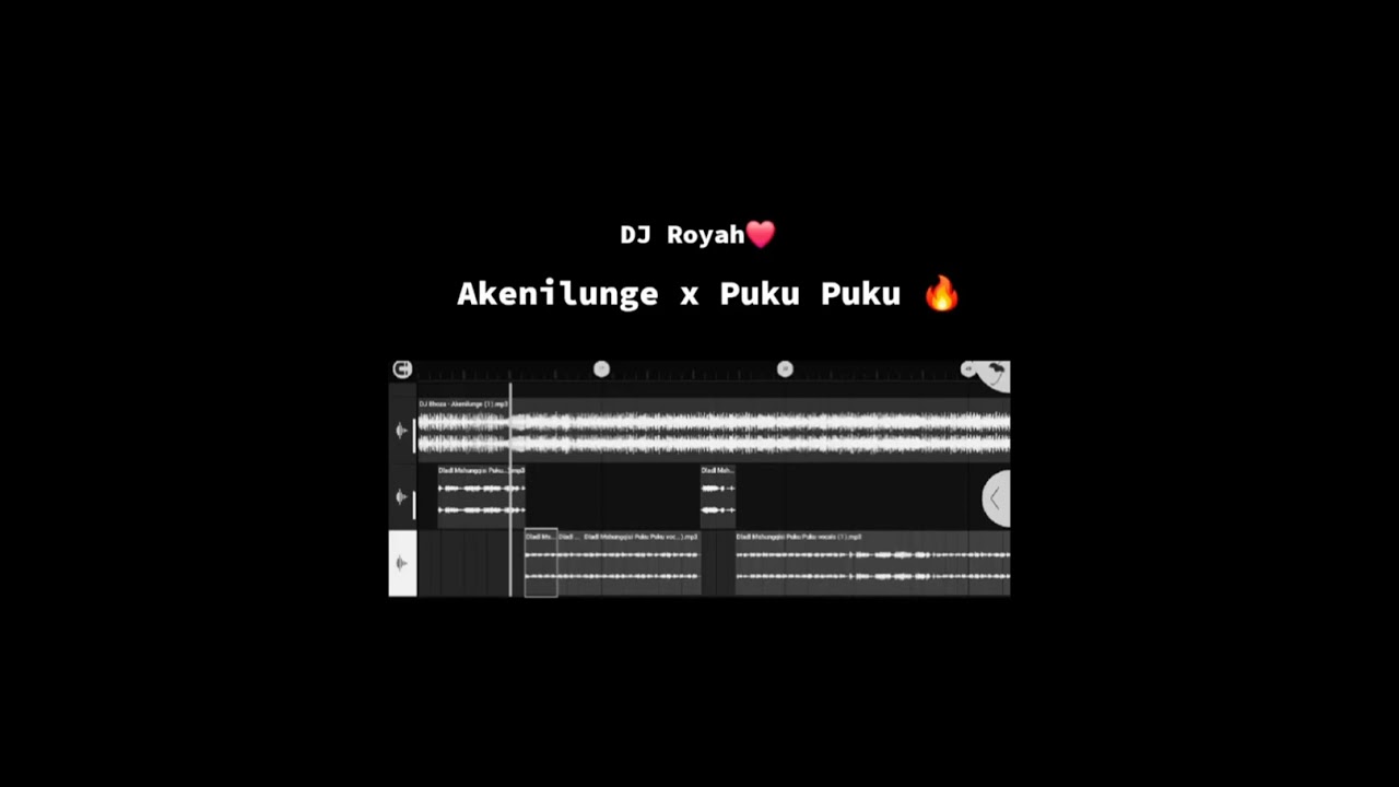 DJ Royah - Akenilunge x Puku Puku (Hype Edit) 2025