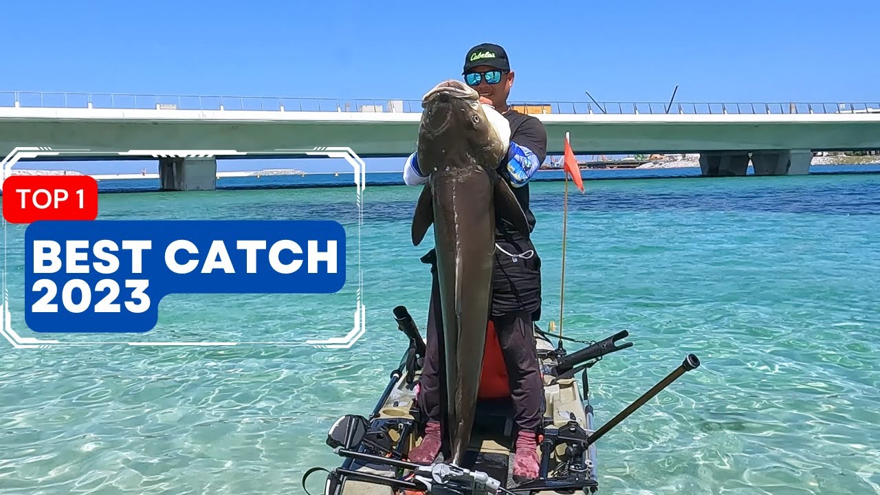 Biggest Cobia caught on kayak | Best setup for big fish on kayak |  Record breaking catch in Dubai