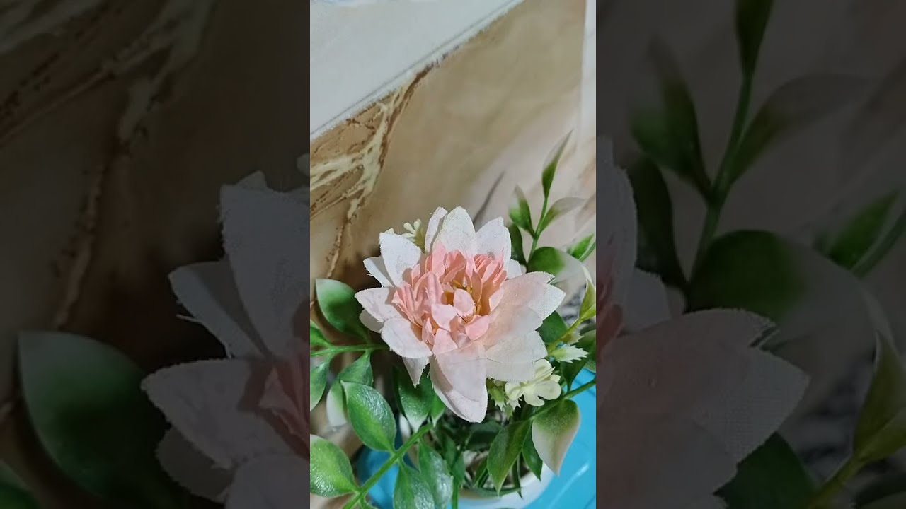 غير الصبر ولي خلاها عند الله يترجاها