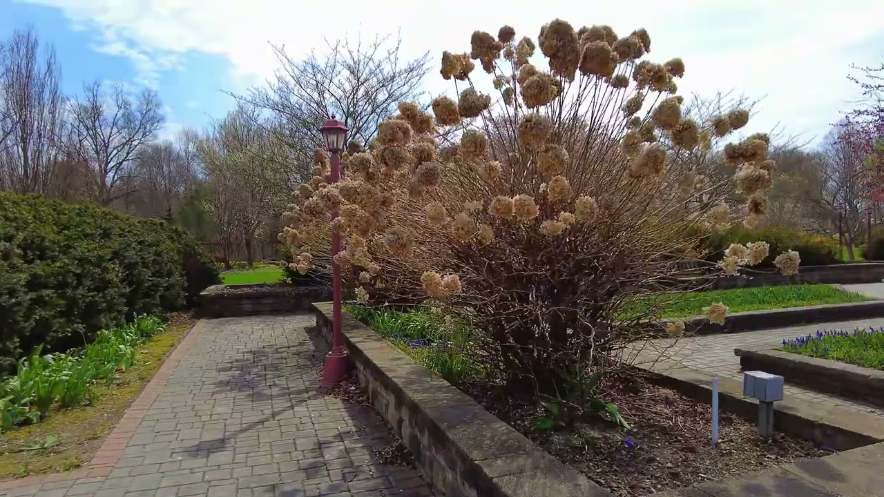 Easter Sunday Walk through the Orange County Arboretum, Thomas Bull Memorial Park in Montgomery, NY