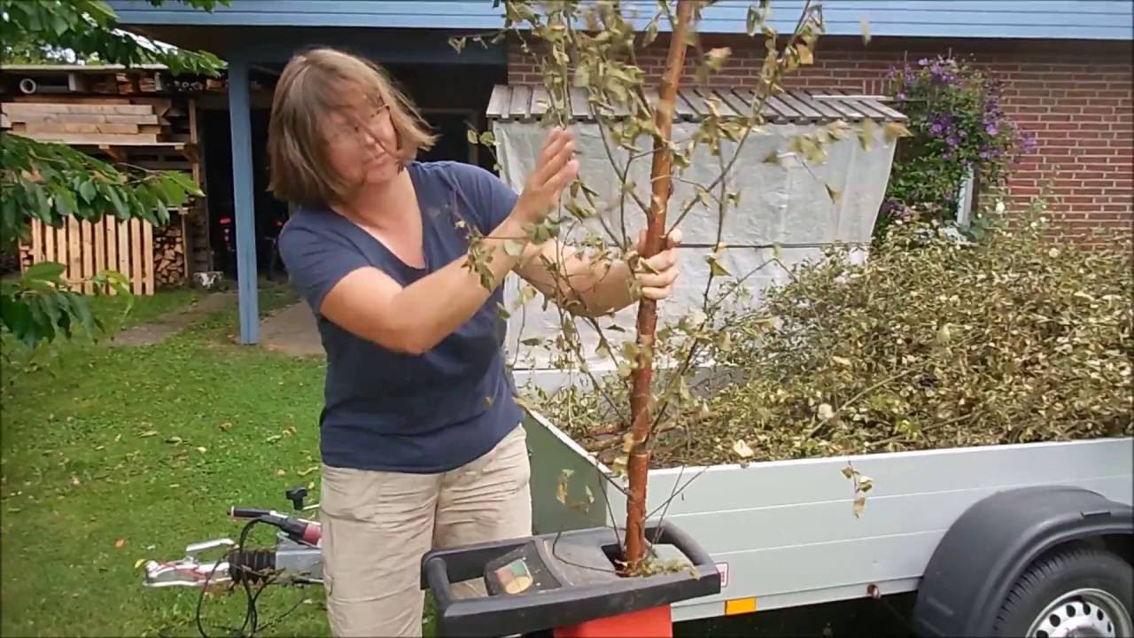 Gartenabfälle schreddern mit dem Leisehäcksler