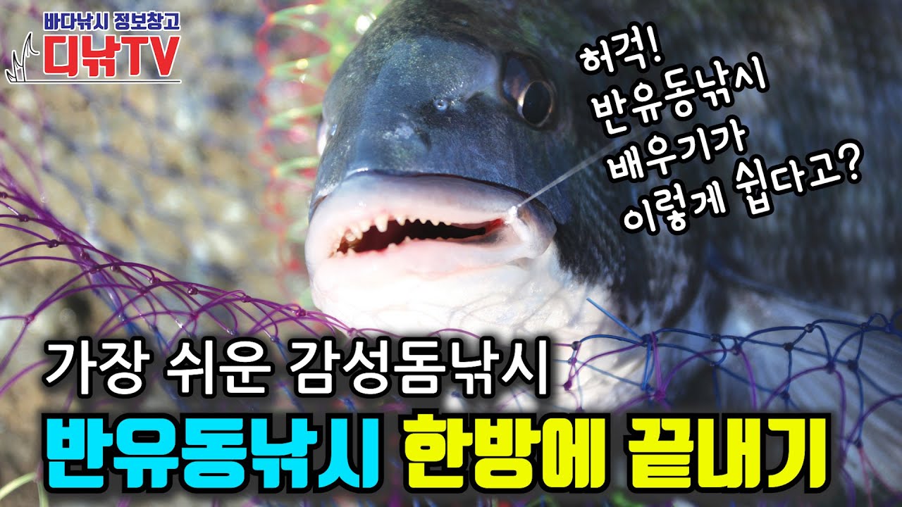 가장 쉬운 감성돔낚시, 반유동낚시 한방에 정리해 드립니다 [디낚TV 낚시공부방]
