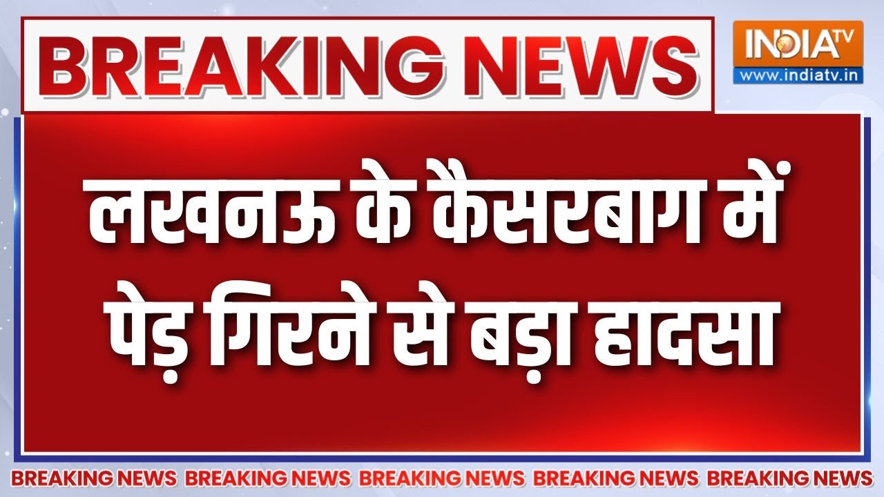 Breaking News : लखनऊ में 2 मकानों पर गिरा भारी-भरकम पेड़ | Lucknow News | UP News