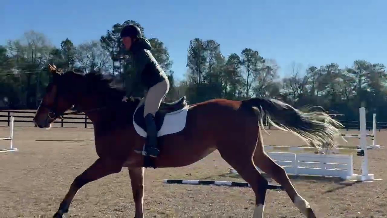 Jasper Jump 12/25