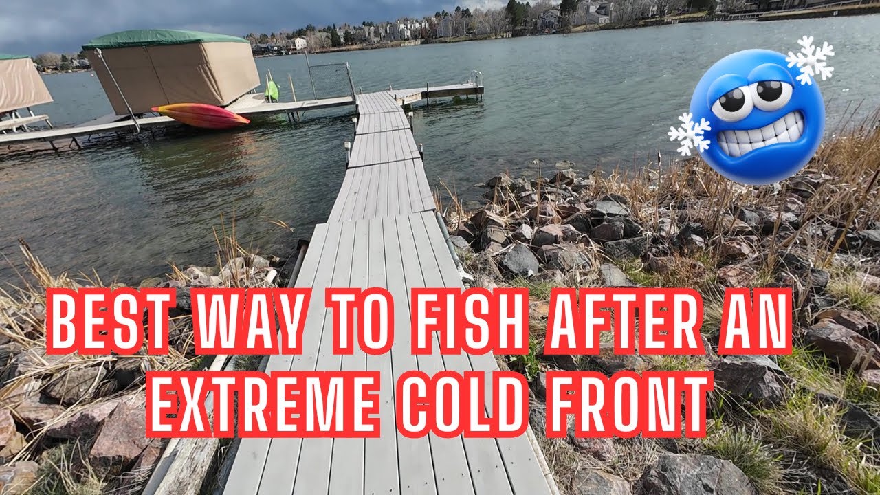 Battling EXTREME cold fronts with SUCCESS