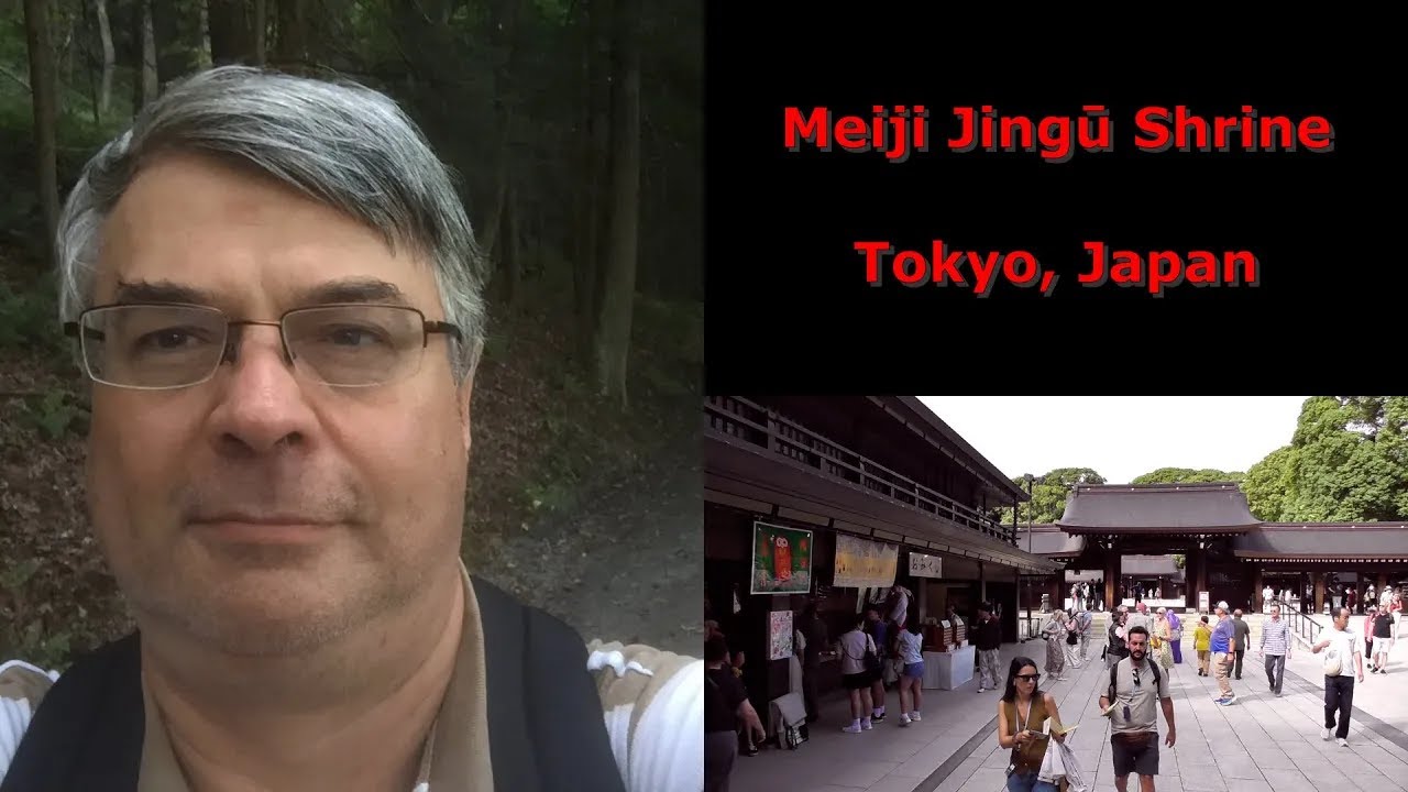 Meiji Jingu: The Living Heart of Tokyo's Sacred Forest