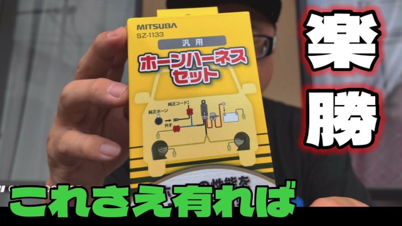 実音有り！軽四シングルホーン交換《素人DIY》ショボい音とおさらばWホーン取付！#diy  #バモス #ホーン