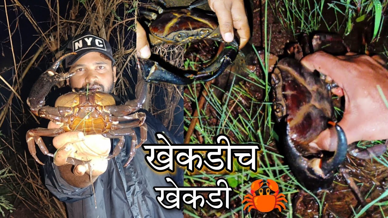 रात्रीचे गेलो खेकडी पकडाय / भरपूर सापडली खेकडि night crab catching in village