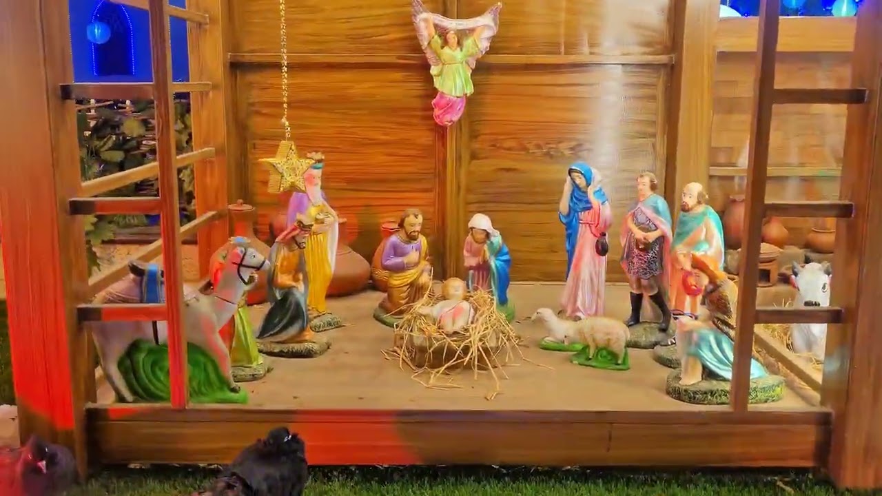 🎄 நாகர்கோவில் கிறிஸ்துமஸ் கொண்டாட்டம் | Christmas Celebration in Nagercoil