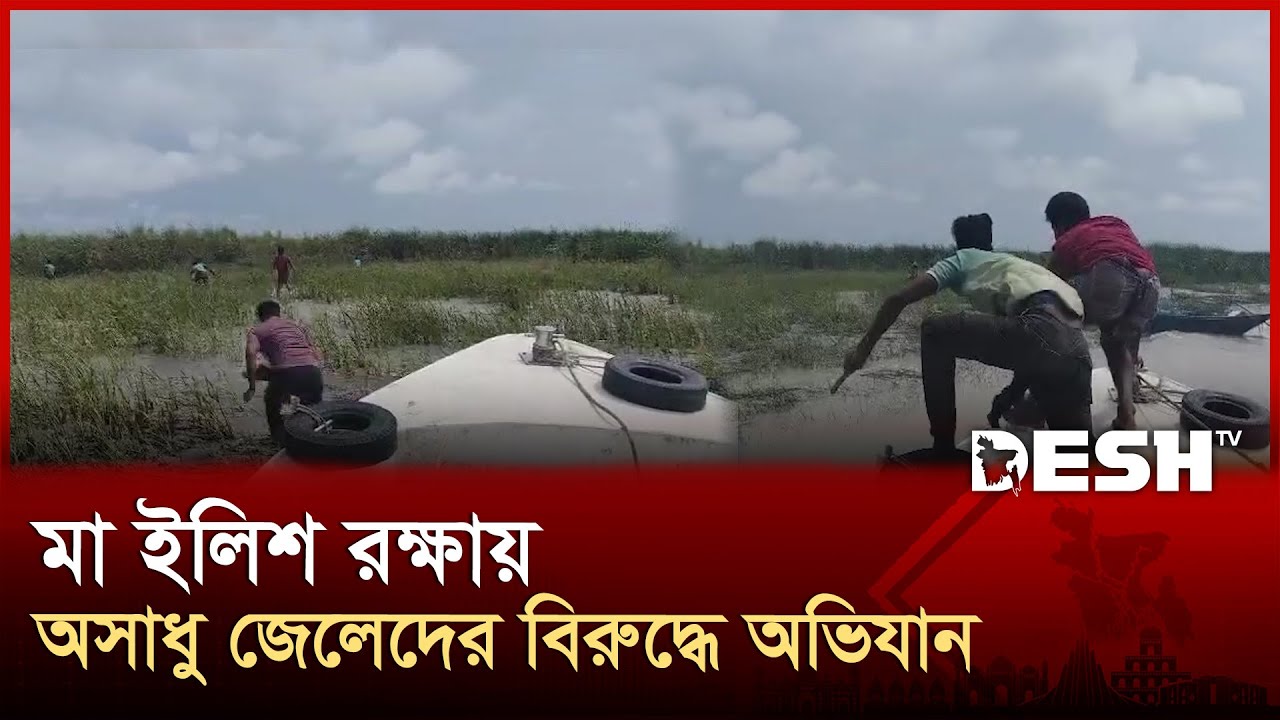 মা ইলিশ রক্ষায় অসাধু জেলেদের বিরুদ্ধে অভিযান | Barishal | Hilsa Fish | Desh TV
