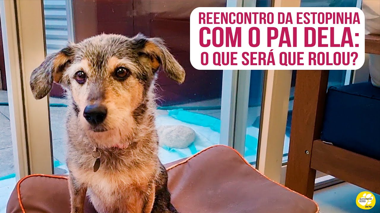 Reencontro da Estopinha com o pai: o que será que aconteceu?