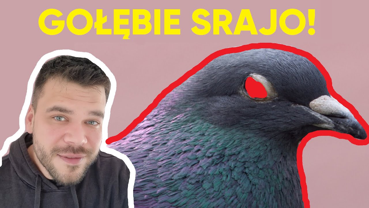 POMOCY, GOŁOMP! | szopka odc. 103